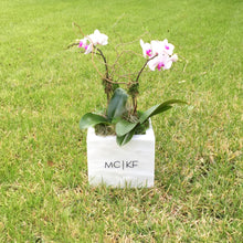 Load image into Gallery viewer, Orchid Box
